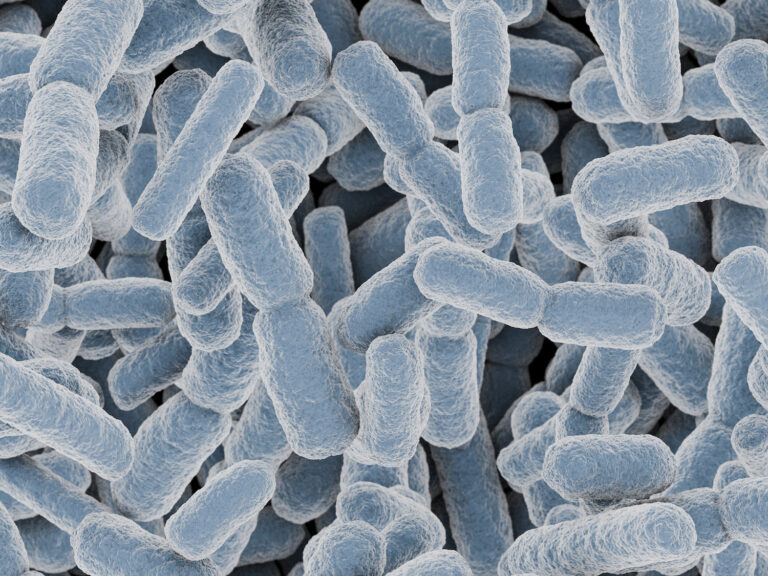 E.coli probiotic for your gut health