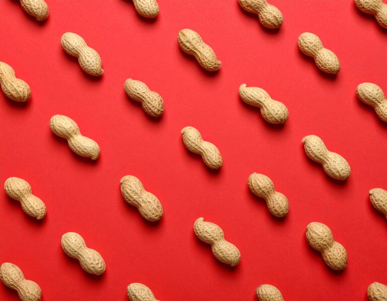 Food allergies and gut health