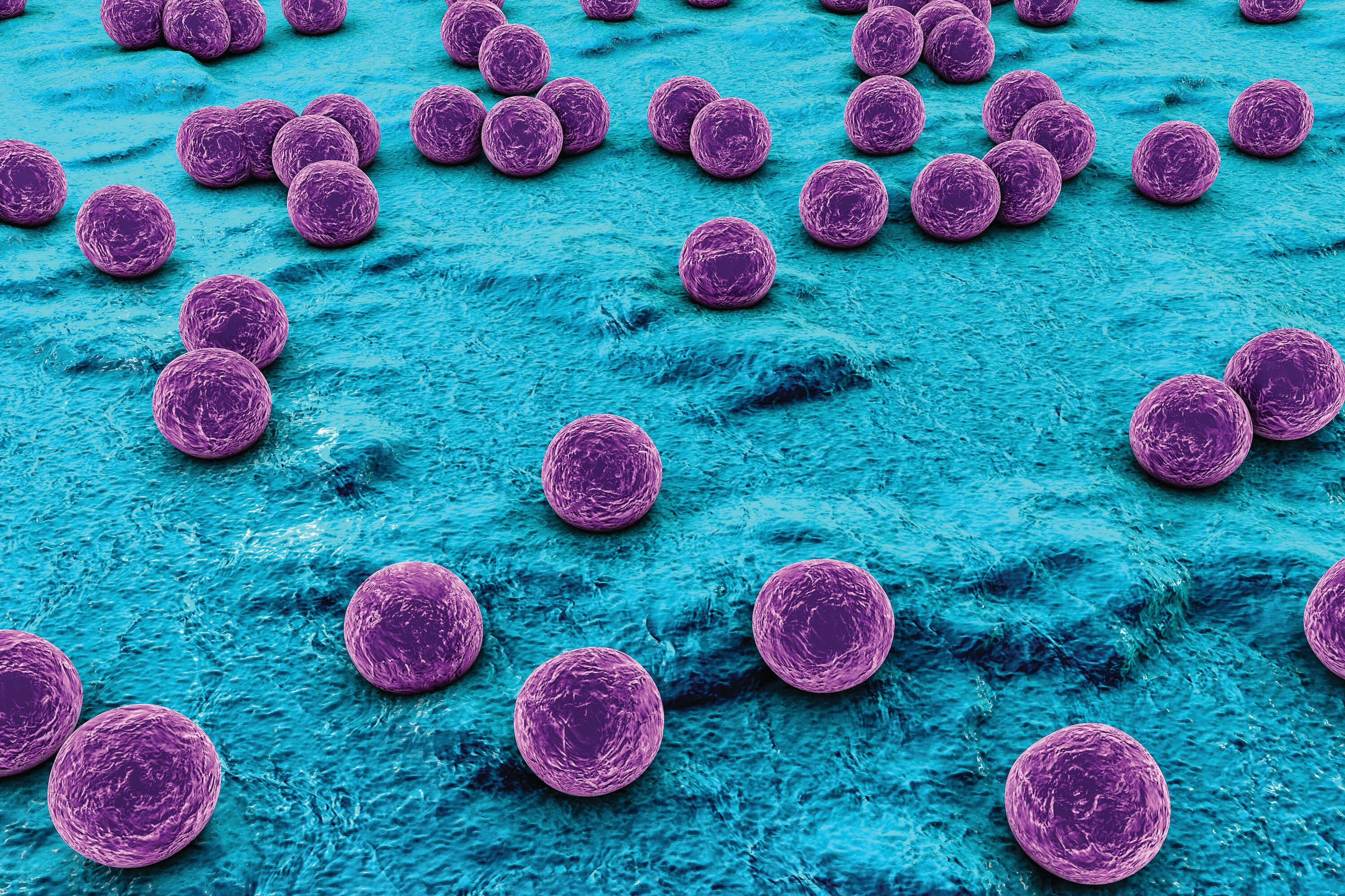 staph infection probiotic